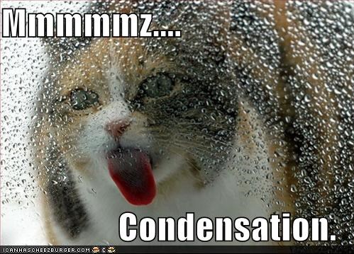 Image result for condensation meme
