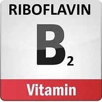 Riboflavin64